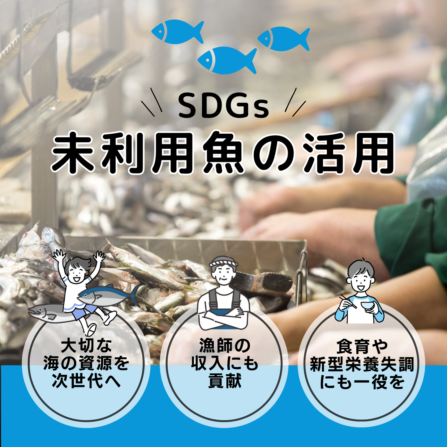 未利用魚の活用を通し、大切な海の資源を次世代に繋ぎ・漁師の収入源の確保などSDGsにも取り組んでいます。